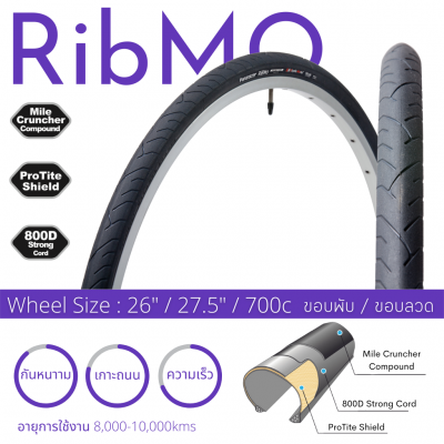 RiBMo